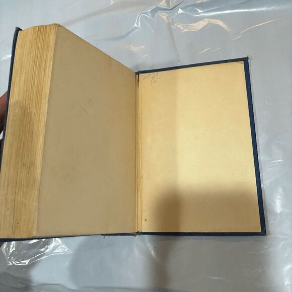 Vintage 1917 Elaine Sterne "The Road Of Ambition" 1st edition Ill Ray N. Jackson - Picture 10 of 11